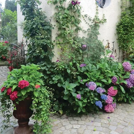 Apartamento In Bad Schlema Ot Wildb *